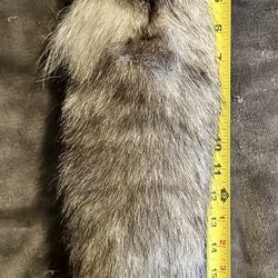 Silver Fox Tail