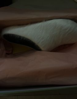 Marni Slides