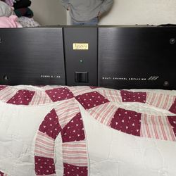 Multi Channel Amplifier For Home Theatre Audiophiles!