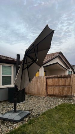 Backyard Sun, Umbrella