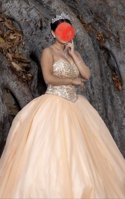 Vestido De Quinceañera 