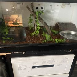 Reptile enclosure