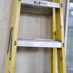 6' Werner Ladder
