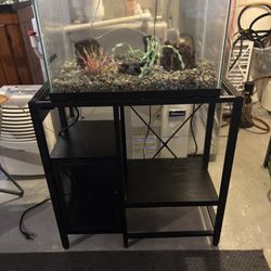 20 Gallon High Aquarium And Accessories