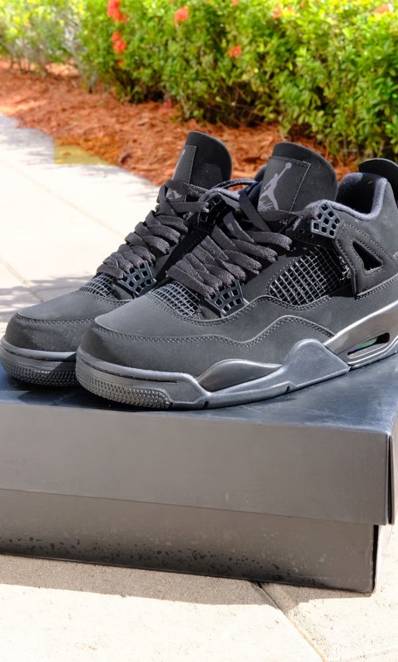 Jordan 4s Cat