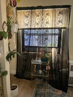 Lace Curtains