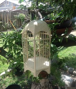 Bird cage gift card holder