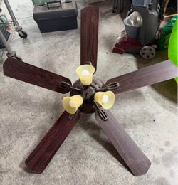 Ceiling fan