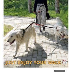 Pet Dreamland No Hands Leash