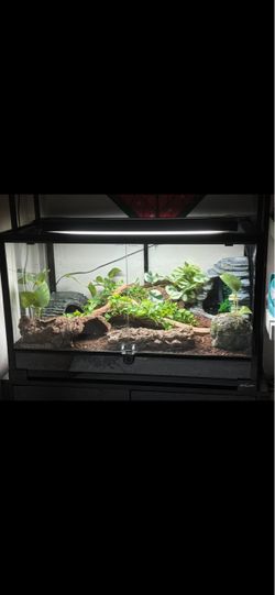 30”x18x18” ReptiZoo Terrarium/Reptile Tank