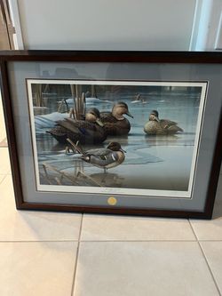Framed Duck Wildlife Art Print with Medallion
