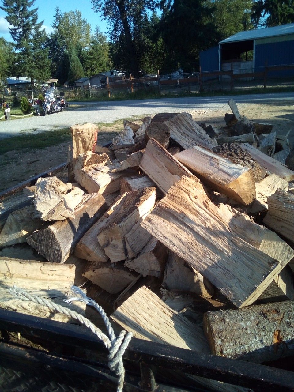 Firewood. OAK