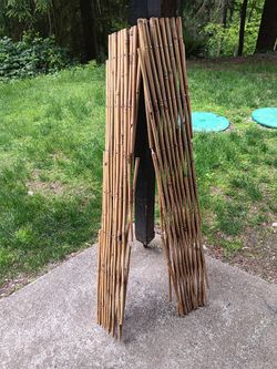 Natural Bamboo Expandable Trellis - qty 2