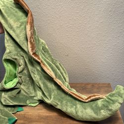 Baby dinosaur Costume