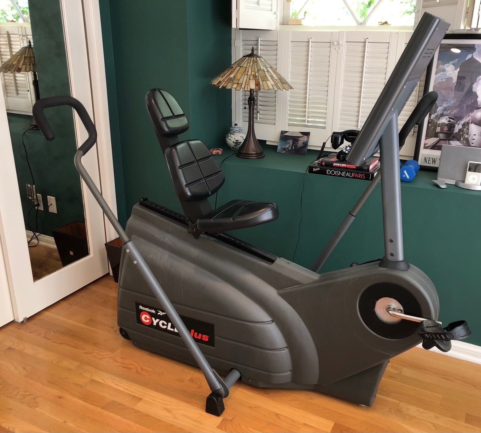 EXERCISE BIKE -  EXERCISES BOTH LEGS AND ARMS    $250