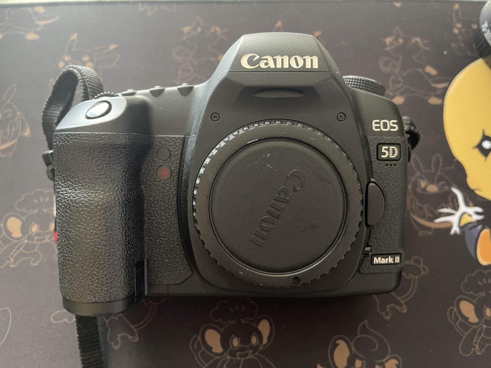 Canon EOS 5D Mark II