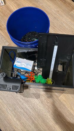 10 gallon fish tank