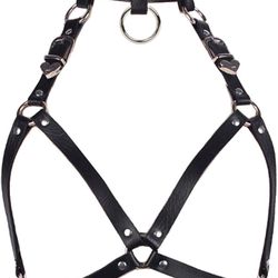 Harness