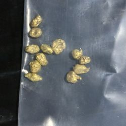 Natural Placers From Panning Trips In Idaho,Montana, 