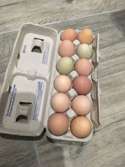 Farm fresh eggs