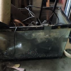 Fish Tank