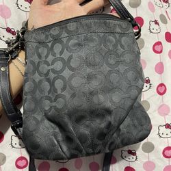 Vintage Coach Shimmering Crossbody Bag 