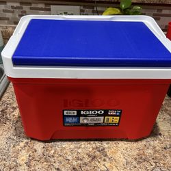 Brand new Igloo cooler  9 quart 