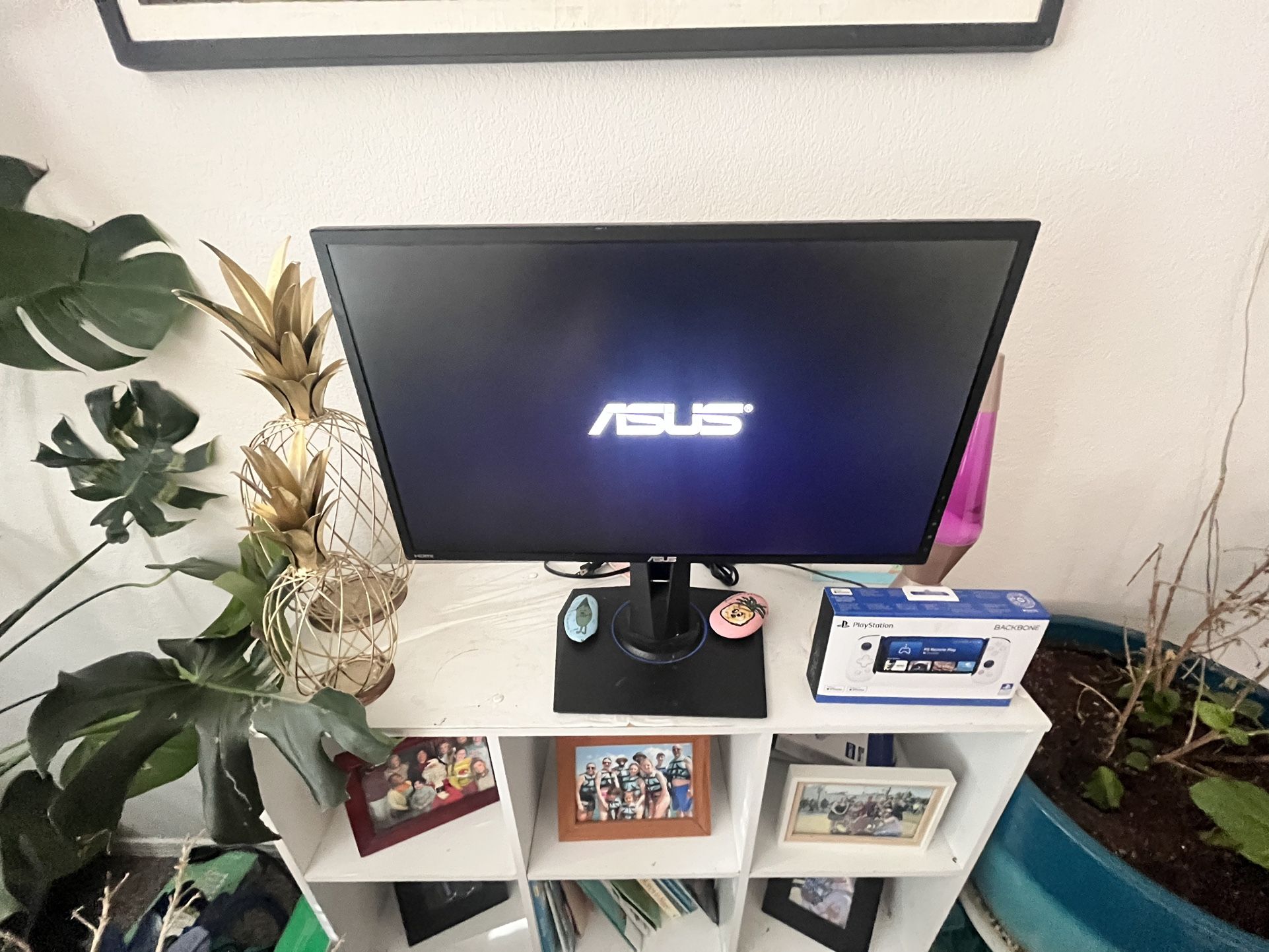 Asus Gaming Monitor