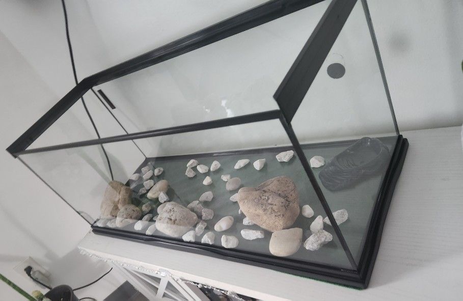 Terrarium 30in