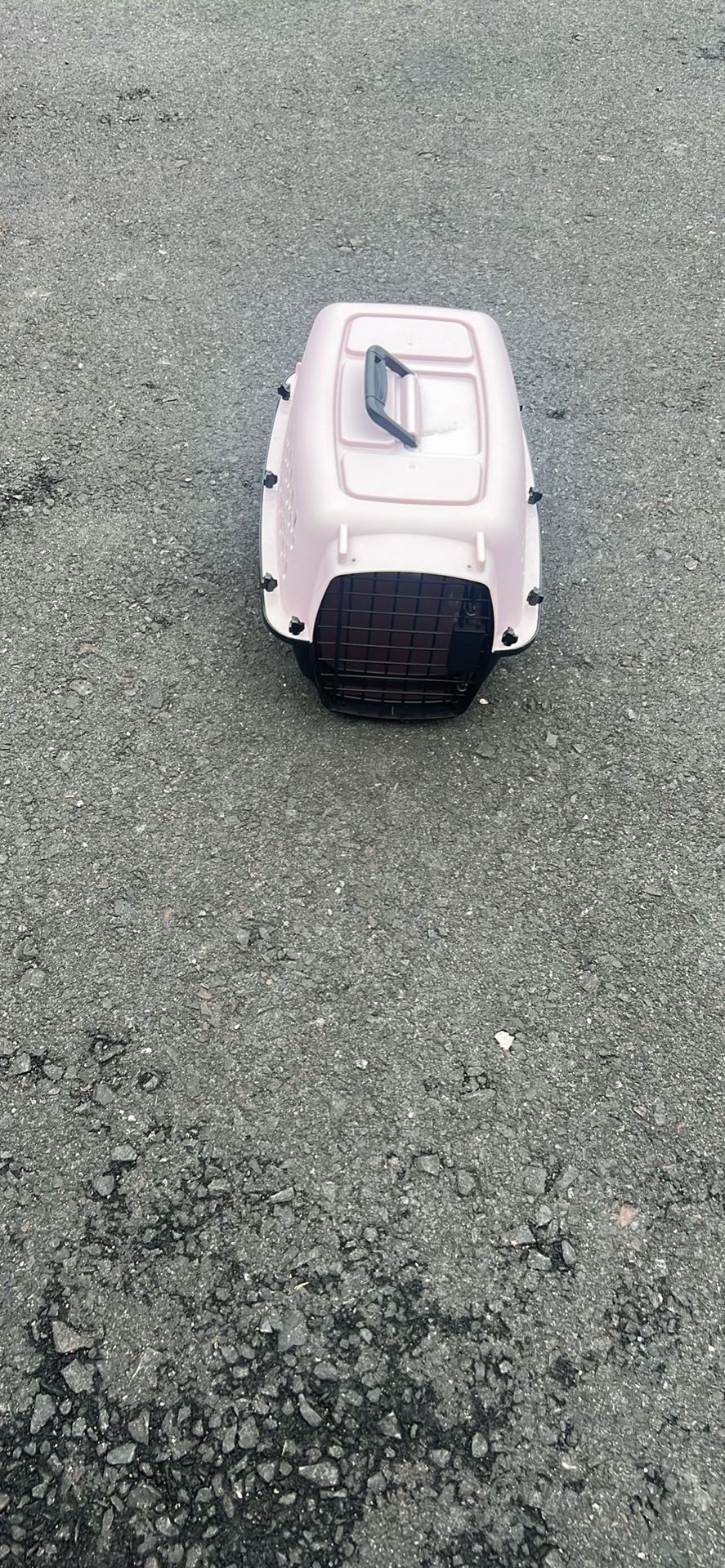 Almost brand new 19 inch cat carrier