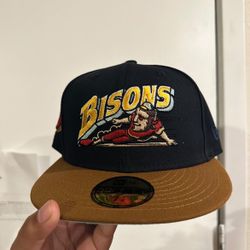 1/8 Bisons