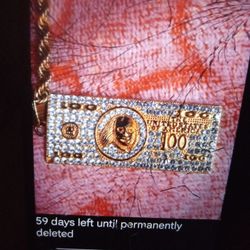 $100 Dollar Bill Necklace 