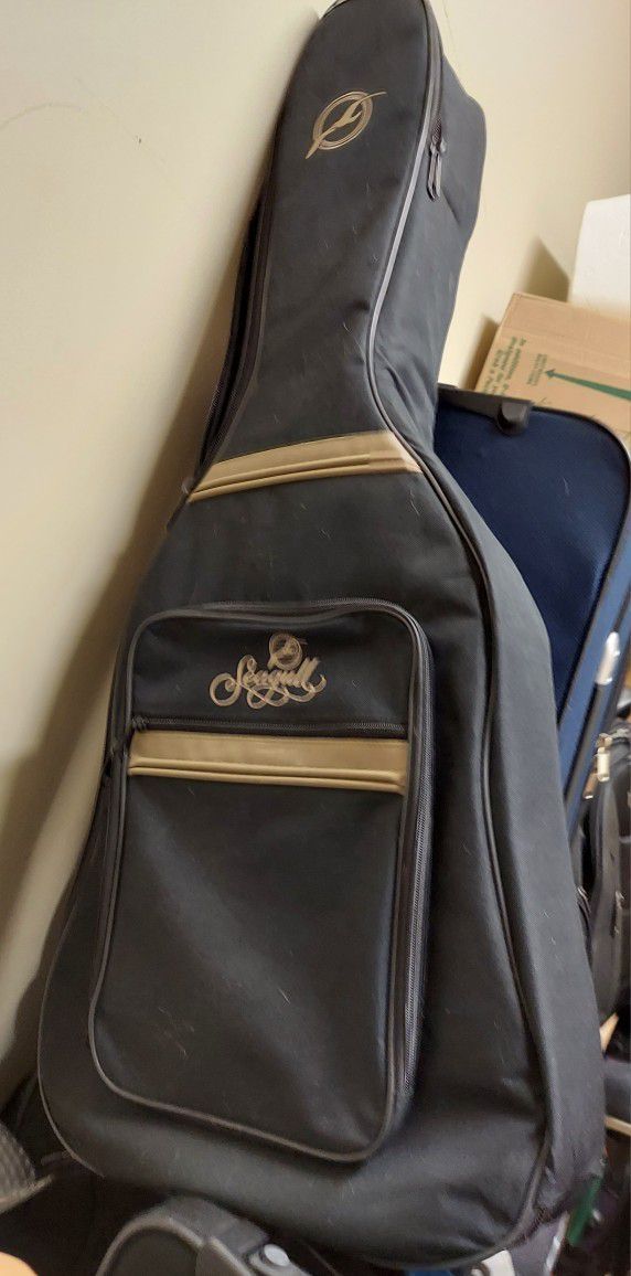 Guitar Cases. Hard Shell + Soft Shell