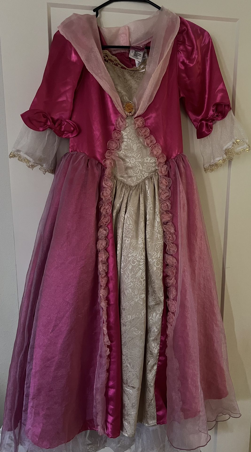 Disney Princess Halloween Costume