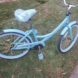 Cruiser Bike, Bicicleta