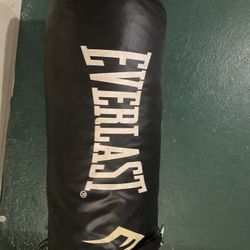 Everlast Punching Bag Hanging