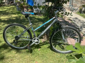 Silver 26in MTB