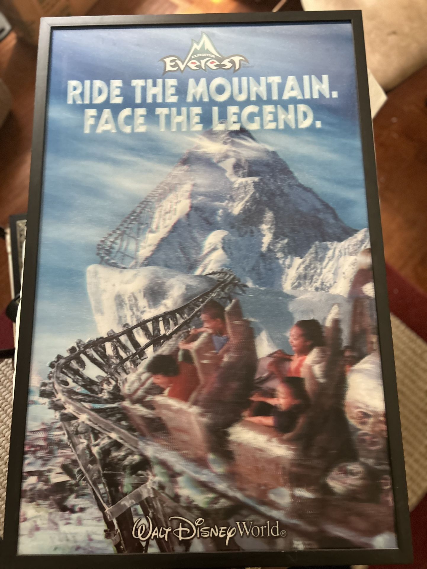 Walt Disney Animal Kingdom Expedition Everest Holographic Poster