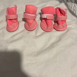 Pet Shoes