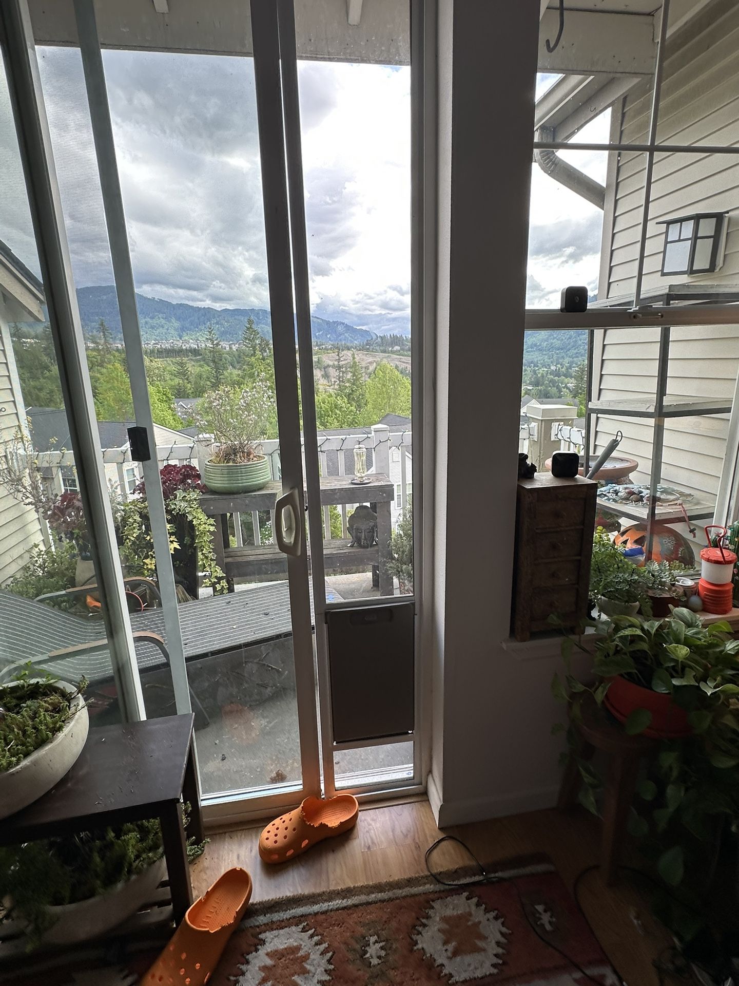 XL Petsmart Sliding Glass Dog Door