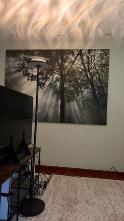 Govee Stand Lamp RGB with App