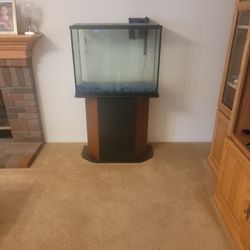 Fish Tank 