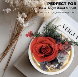 New Preserved Flowers Roses Gift for Women