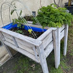 Plant Beds With Soil