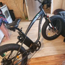 Electric Bike Ecotric 