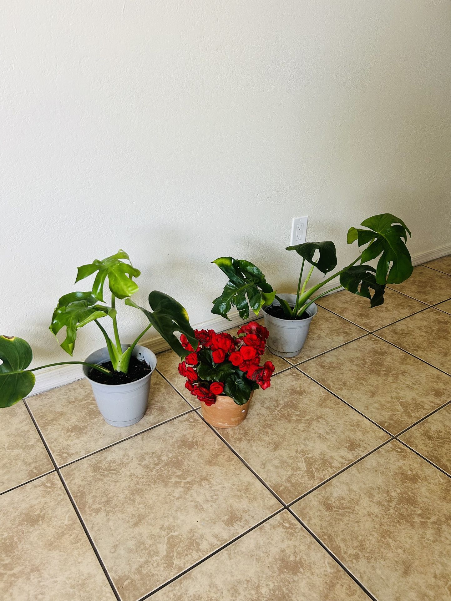 Plans For 15 Each