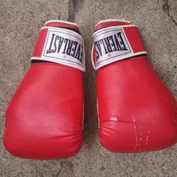 Everlast Pro Style Training Gloves  Only $30 ! 