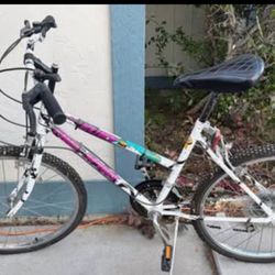 90’s Vintage Bicycles