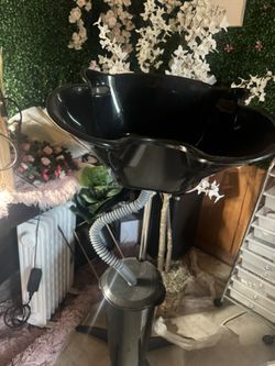 Portable Hair Washer