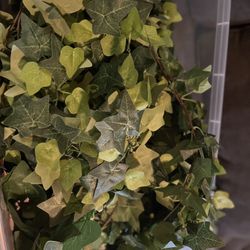 Greenery 